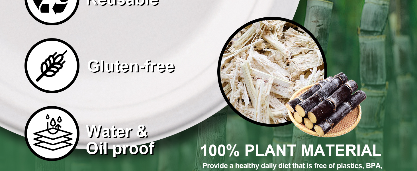 compostable plates