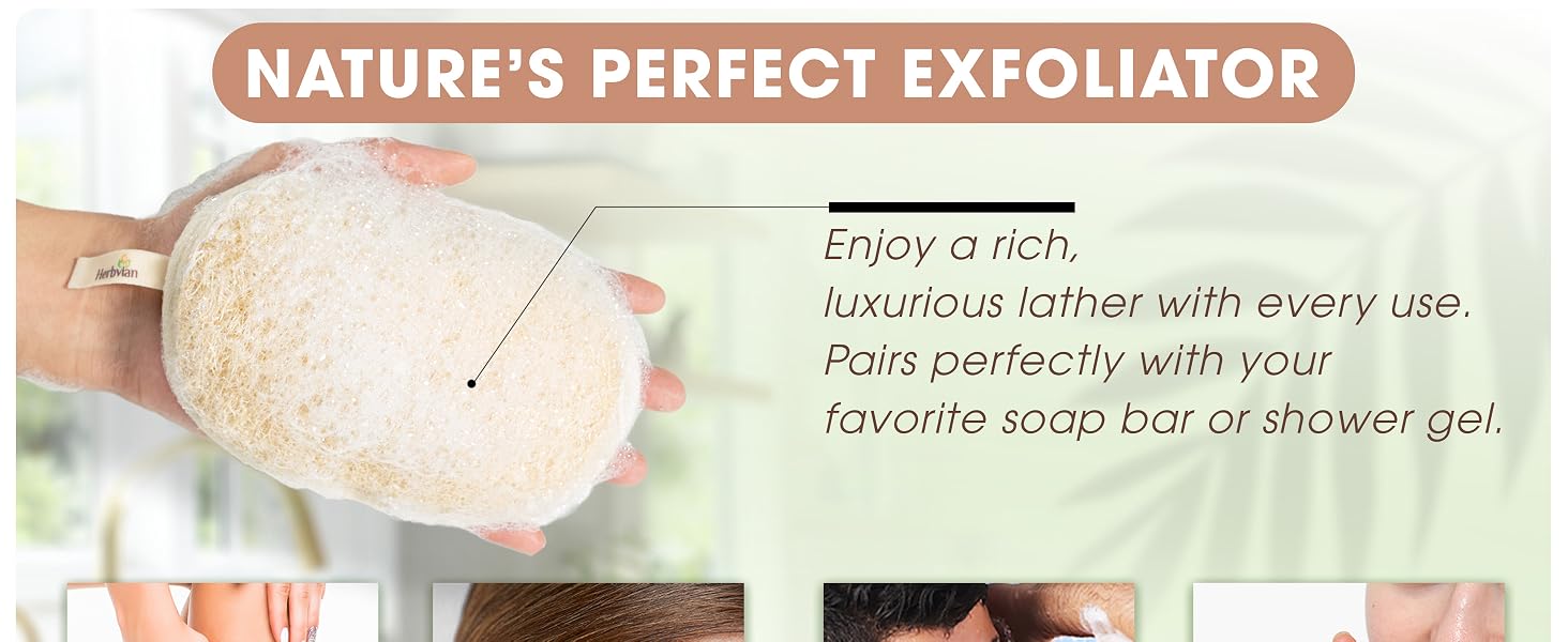 Natural loofah applications