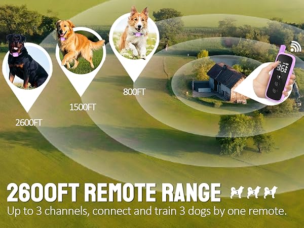 dog shock collar