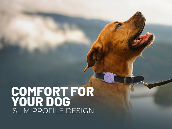 tracking collar for dogs airtag for dog airtag dog collar holder apple air tag dog collar