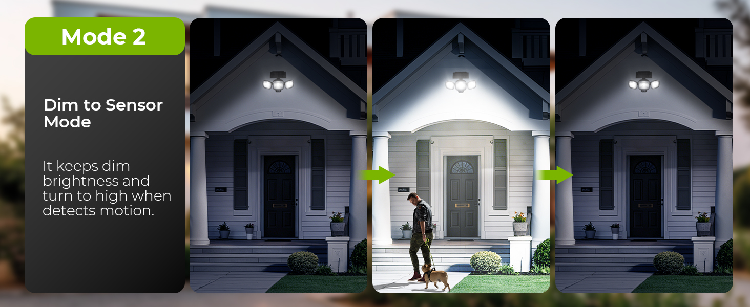 solar motion sensor light