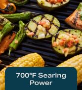 Current Model G+ Dual Zone Electric Grill, Eclipse