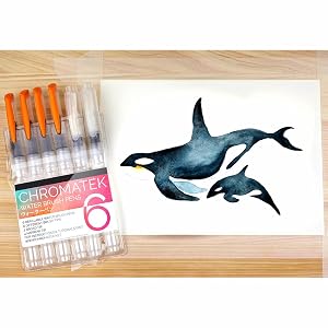 Water Brush Pens, Aqua Pen Painting Brushes
