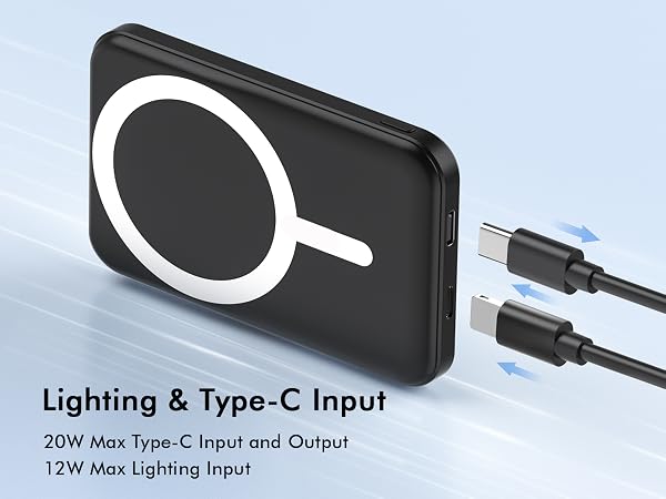 Text reads 'Lighting & Type-C Input' and '12W Max Lighting Input'. Technical diagram showing USB Type-C connection capabilities of the emergency light device.