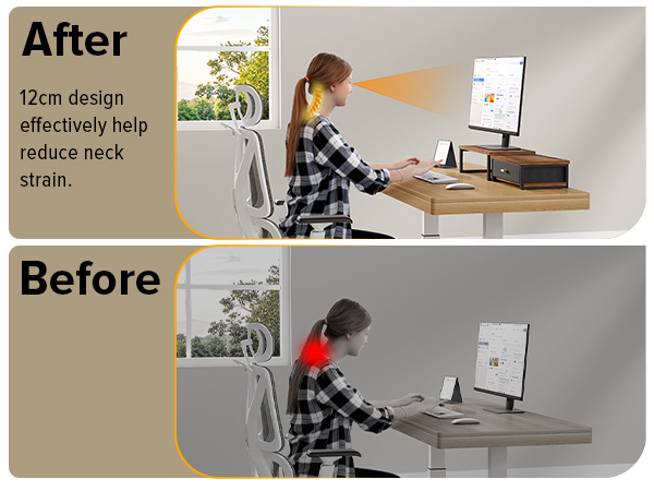 monitor riser
