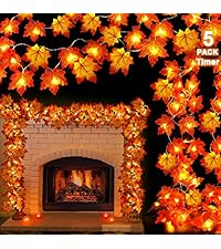 https://m.media-amazon.com/images/S/aplus-media-library-service-media/d53211a7-e04b-4523-b794-dc94470fcd3a.__AC_SR200,225___.jpg