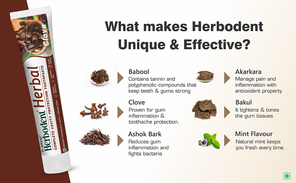 Herbodent product ingredients infographic showing natural components including Babool, Clove, Ashok Bark, Akarkara, Bakul, and Mint Flavour with their benefits.