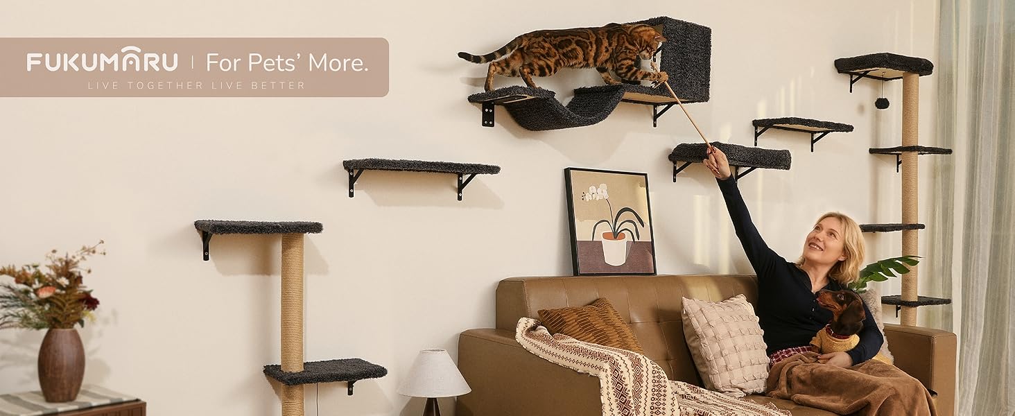 cat wall jungle