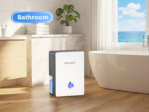 small dehumidifiers for bathrooms