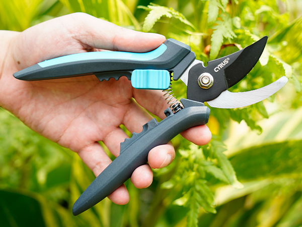 shears