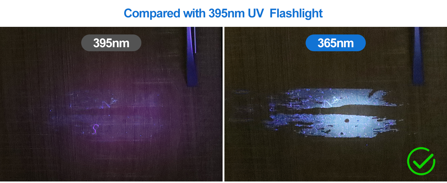 365nm black light flahlight