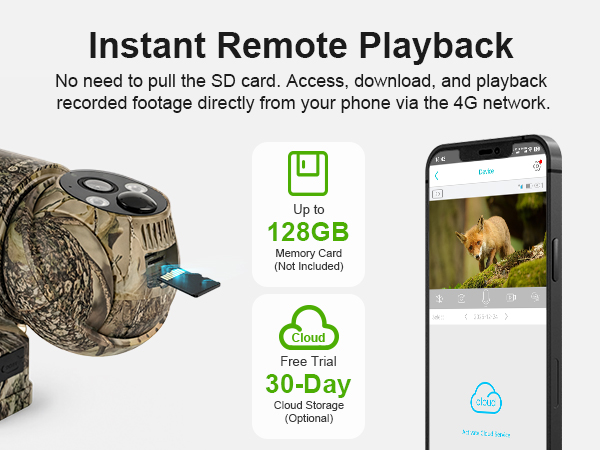 Instant Remote Playback