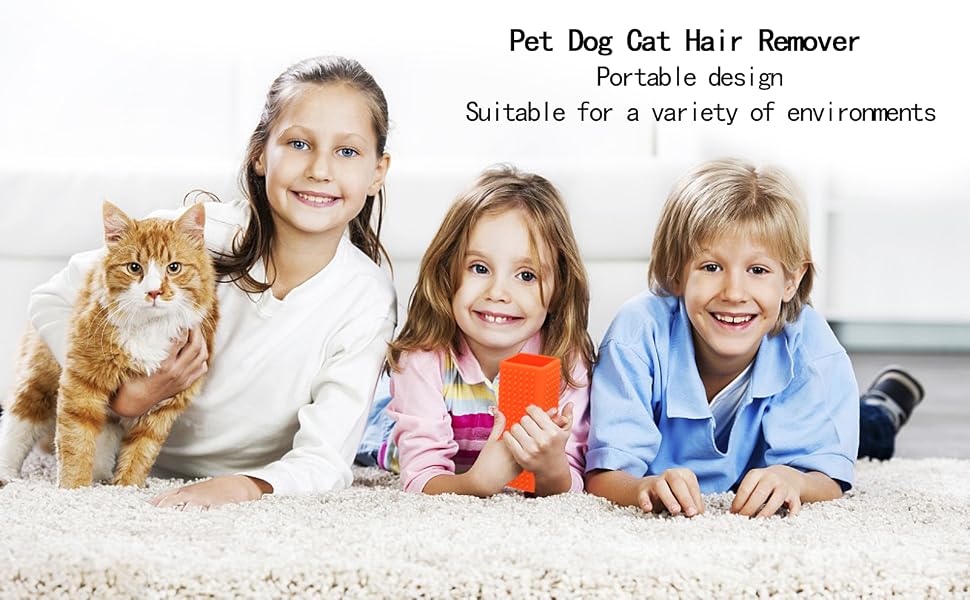 Pet hair remover tools