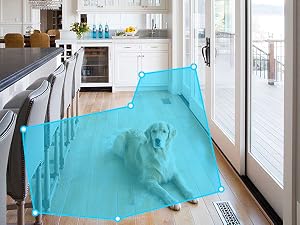 dog camera