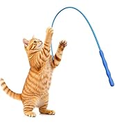 Casfuy Innovative Ultra Light Durable Tail Silicone Teaser Wand Cat Toy