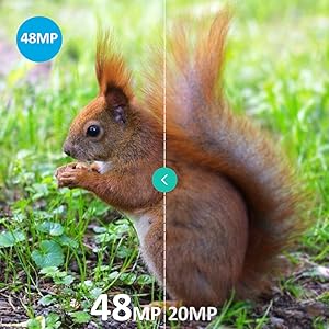 trail camera 48mp