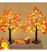 TURNMEON Fall Decor 2 Pack 18 Inch Prelit Fall Maple Tree 48 LEDs Timer | Fall Decorations for Ho...