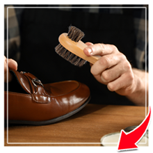 shoe cleaning kit