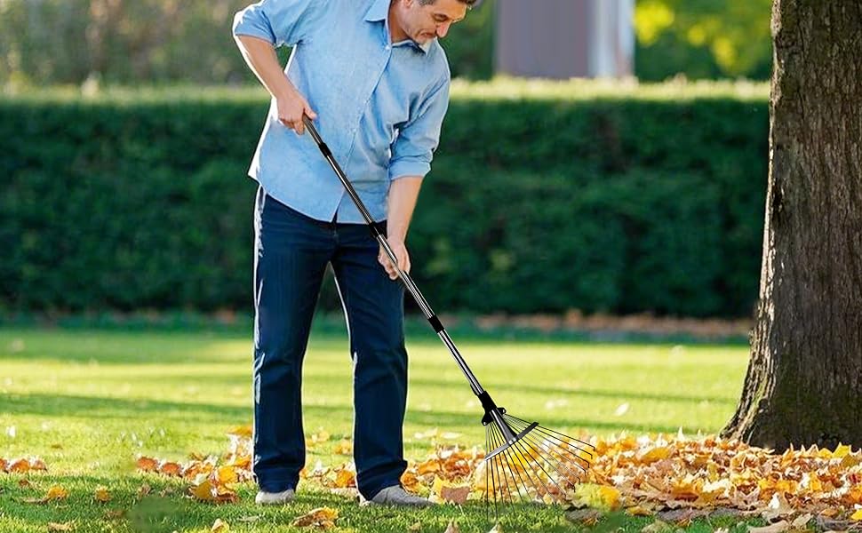 garden rake