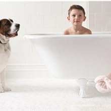 family safe pet safe mold treatment bathroom spray