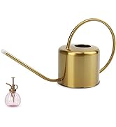 Remiawy Watering Can Indoor Outdoor Stainless Steel Watering Cans for House Plants Long Spout Wat...
