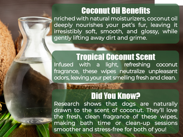 coconut dog wipes scented