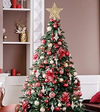 https://m.media-amazon.com/images/S/aplus-media-library-service-media/4331ad75-a41e-489d-9299-b62182268c13.__CR0,0,685,771_PT0_SX200_V1___.jpg