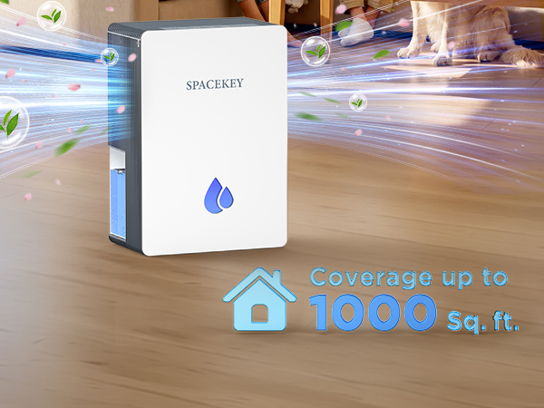 high efficiency dehumidifier for large rooms 1000sq.ft