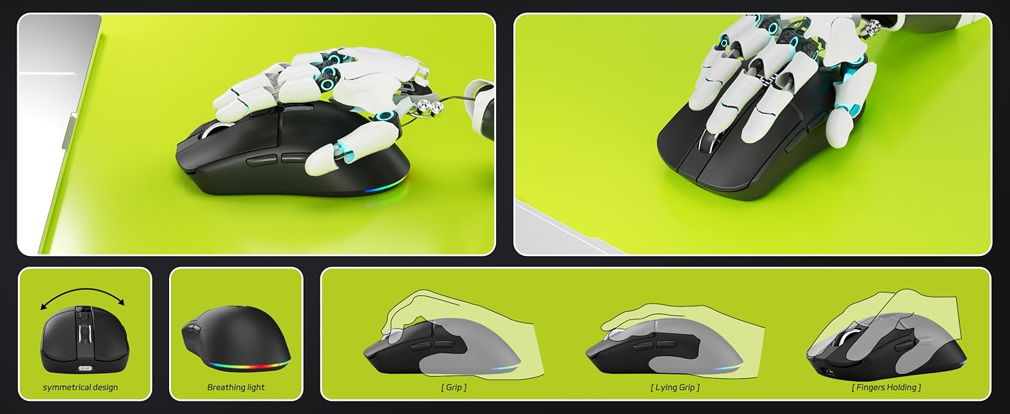 mouse