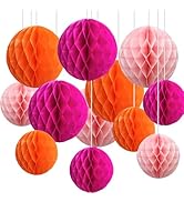 CC wonderland zone 12pcs Hot Pink and Orange Paper Honeycomb Balls,6