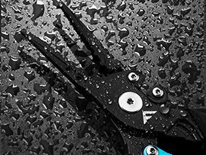 fish pliers