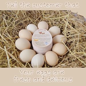eggs 18 count fresh; egg cartons cheap bulk; egg cartons bulk; egg stamp;