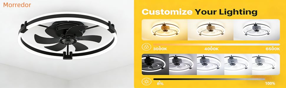Ceiling Fans with Lights