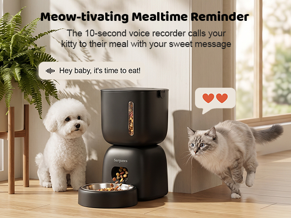 automatic feeder,cat food feeder,cat treat dispenser,timed cat feeder