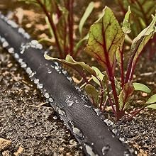 Consistent slow weep flow for entire length of hose