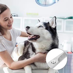 pet eye scissors