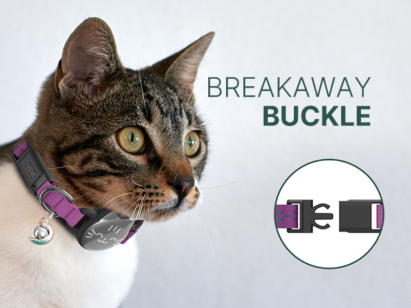 BREAKAWAY BUCKLE CAT COLLAR