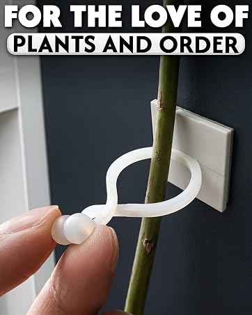 wall plant holder plant hook plant pins plant wall mount plant training clips tree clips vine guides