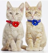 cat flower bowtie