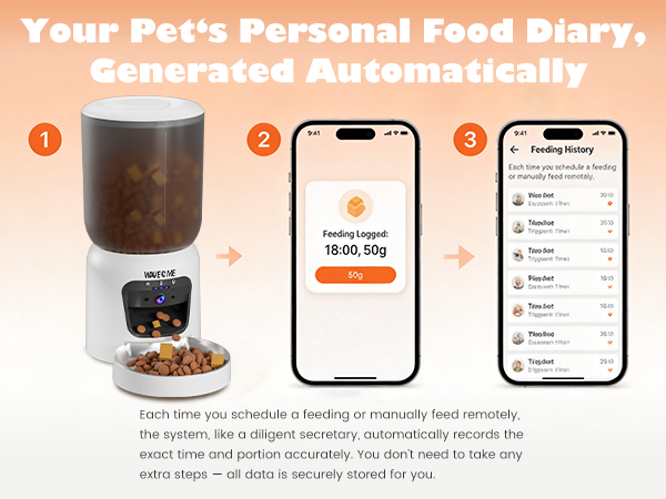 cat feeder automatic