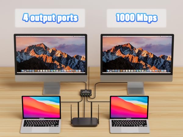 Internet Splitter 1 in 4 Out