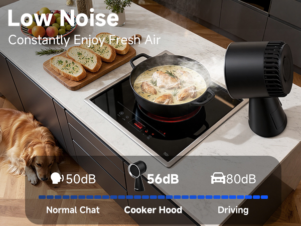 Portable Range Hood