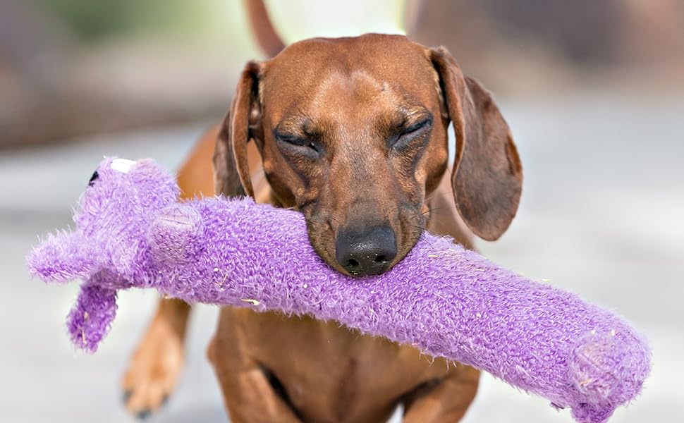 rocky loofa