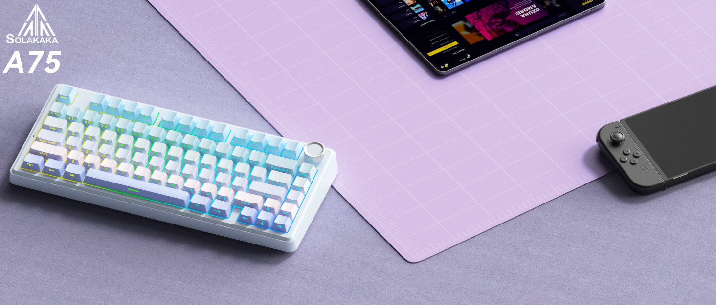 SOLAKAKA GAMING KEYBOARD