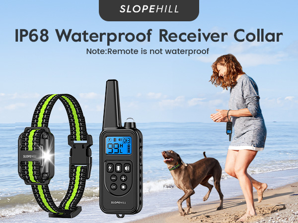 shock collar for dogs