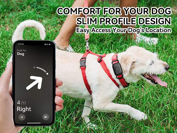 COMFORT FOR YOUR DOG SLIM PROFILE DESIGN Easy Access Your Dog's Location