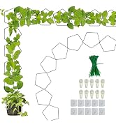 20 PCS Chain Trellis for Climbing Plants, Wall Trellis for Climbing Plants Indoor Outdoor Housepl...