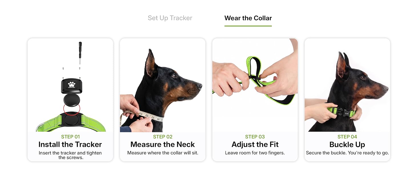 Install tracker measure dog neck adjust fit and buckle the MYIWB tracking collar four steps