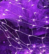 Purple Net Lights