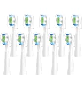 Replacement Toothbrush Heads 10 Pack Compatible with Bitvae Daily D2 Rechargeable Toothbrush, D2 ...
